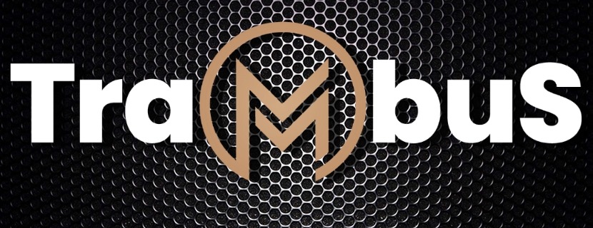 Martin Kubiš Logo